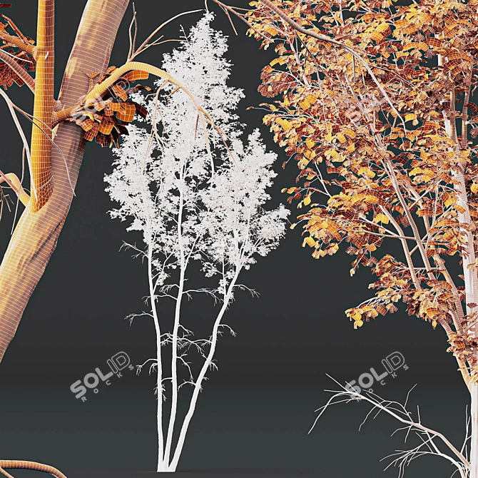 Betula Pendula Trio 3D Models 3D model image 6