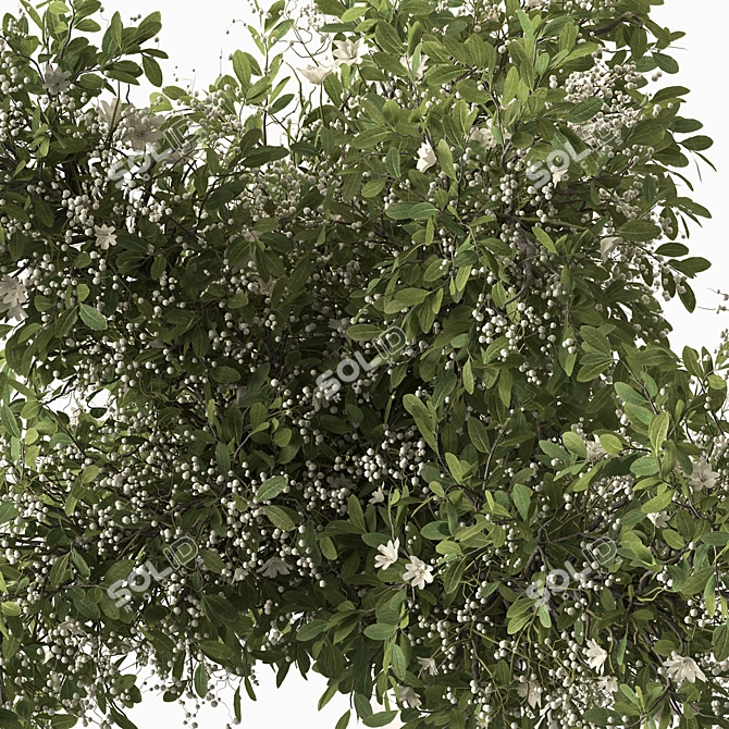 Green Branch Bouquet 193 3D model image 3