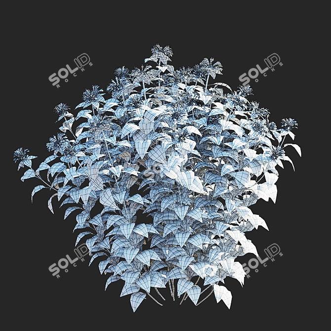 Monarda Didyma Ou Charm Collection 3D model image 3