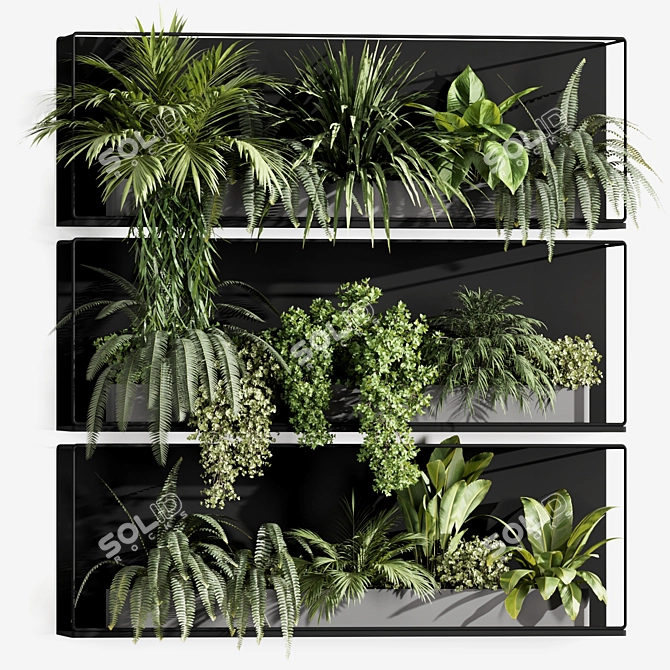 Premium Indoor Hanging Plant Set 3D model image 2