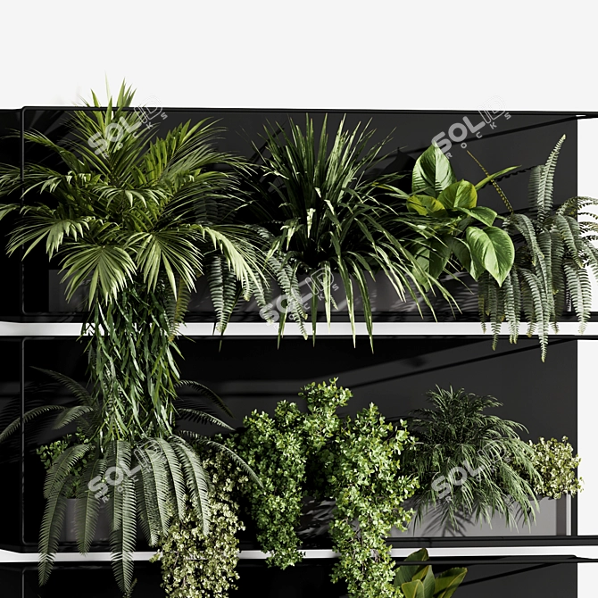 Premium Indoor Hanging Plant Set 3D model image 4