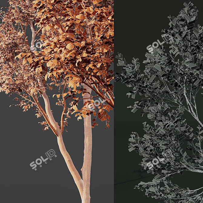 Spring Tree 3D Model Bundle 3D model image 7