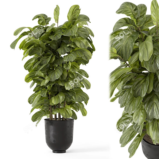 Handcrafted Metal Pot Indoor Plants 3D model image 1