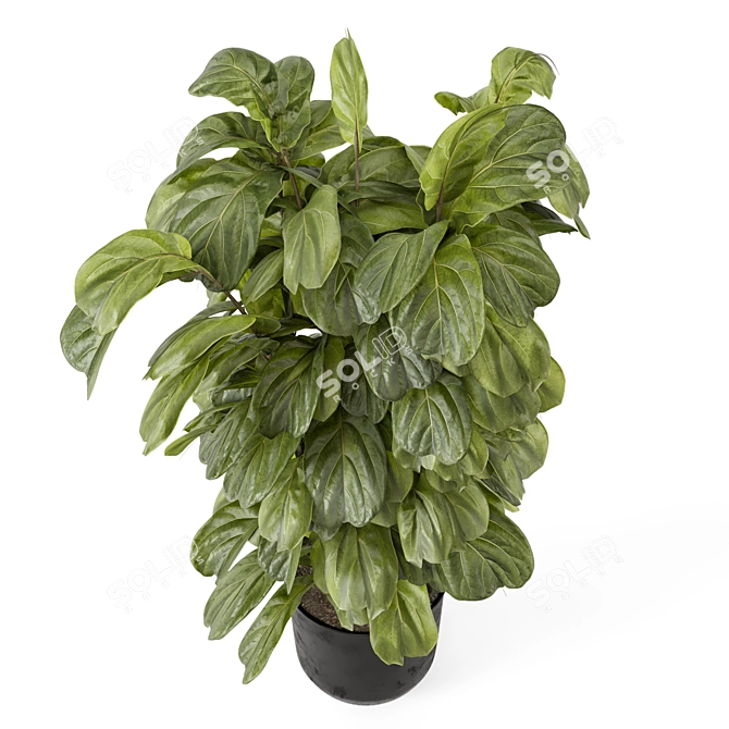 Handcrafted Metal Pot Indoor Plants 3D model image 2