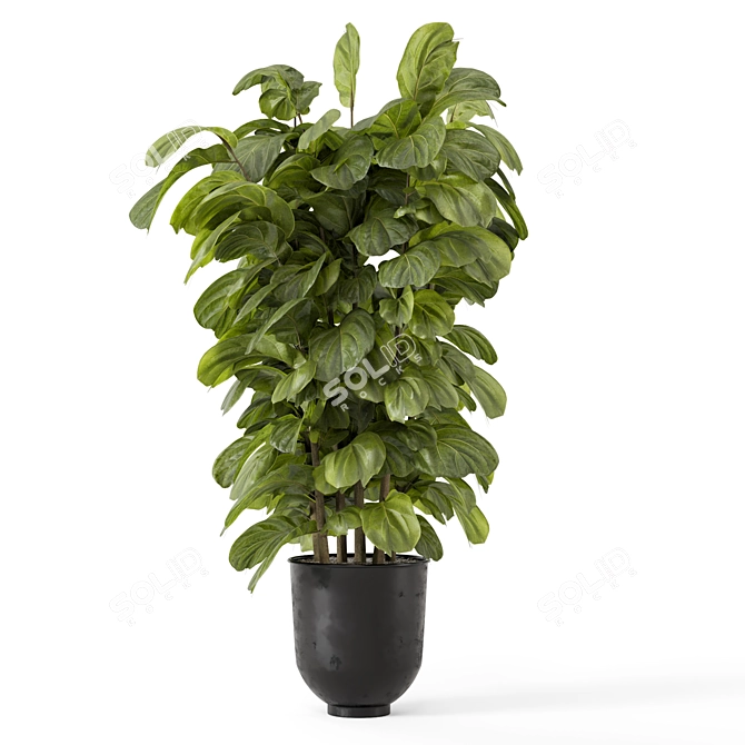Handcrafted Metal Pot Indoor Plants 3D model image 3
