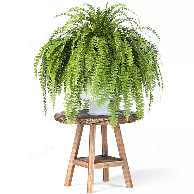 Botanical Bliss Indoor Plant Set 3D model image 4