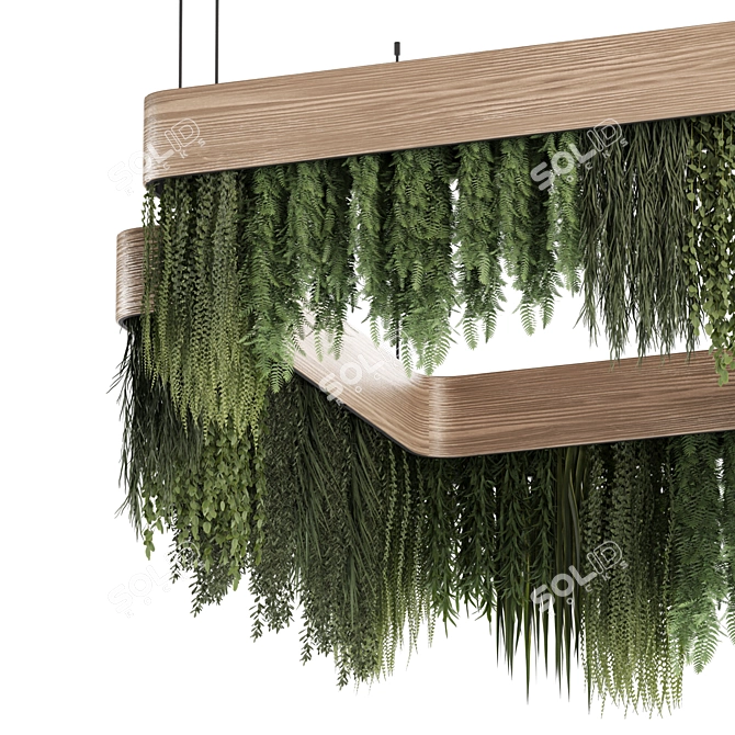 High-quality Hanging Indoor Plants 3D model image 3