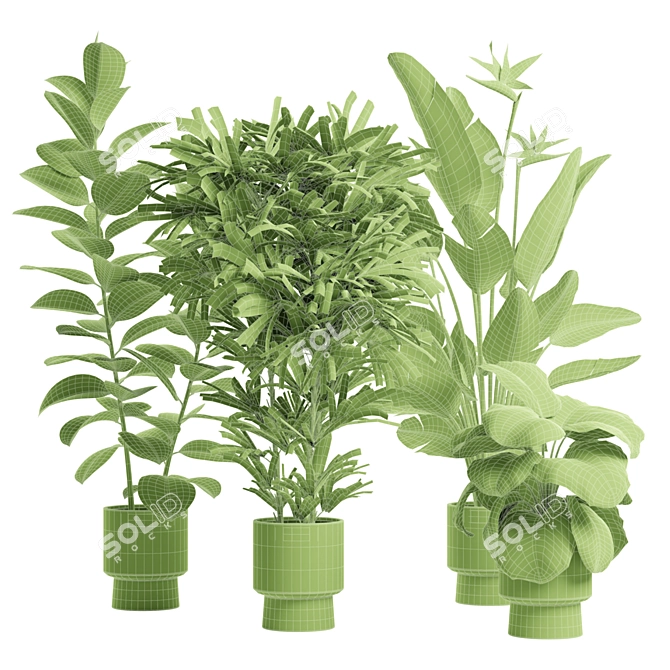 Exotic Indoor Plants Pack 72 3D model image 6