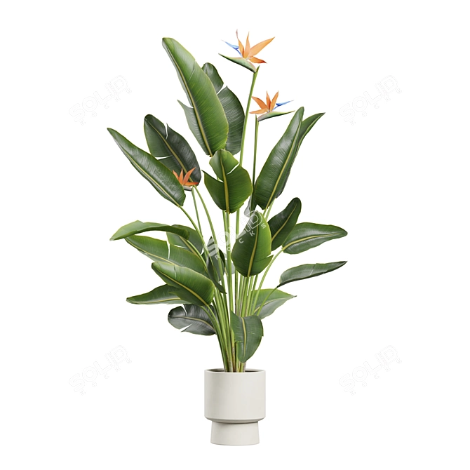 Exotic Indoor Plants Pack 72 3D model image 1