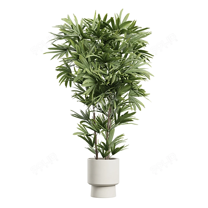 Exotic Indoor Plants Pack 72 3D model image 3