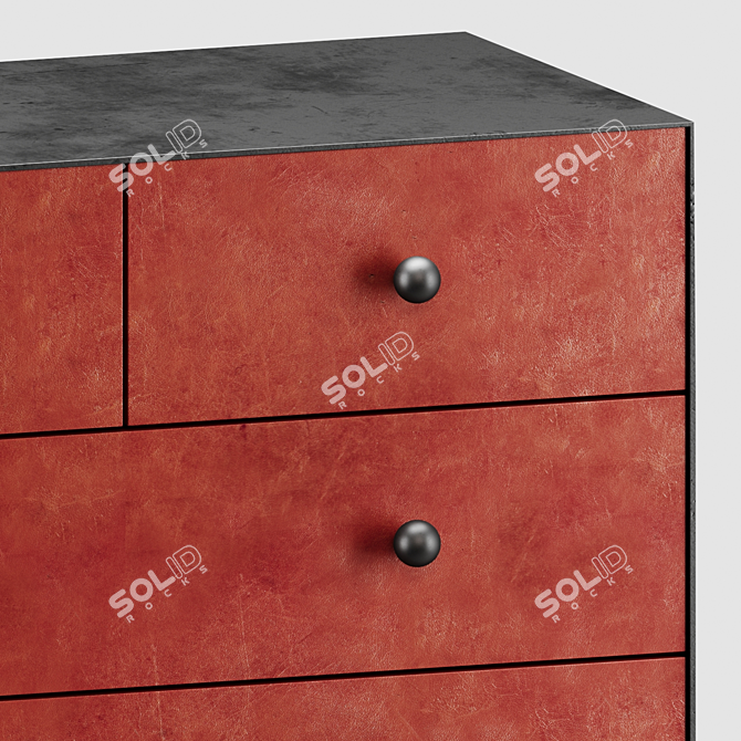 Norah Chest - Rustic Chic Storage 3D model image 3