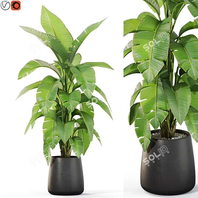 Assorted Greenery Pack 3D Model 3D model image 1