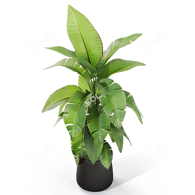 Assorted Greenery Pack 3D Model 3D model image 2