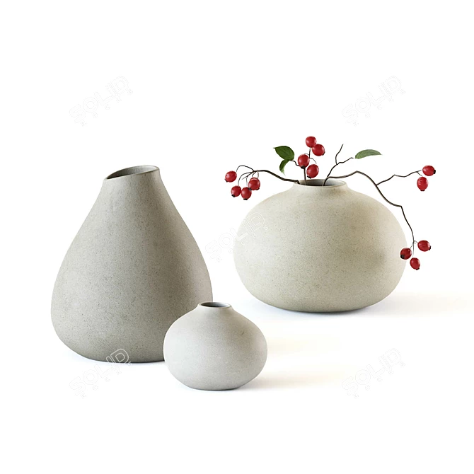 Red Berry Vase Set 3D model image 1