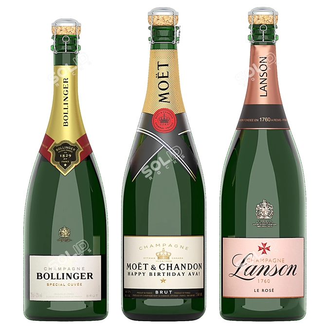 Luxury Champagne Bottle Collection 3D model image 2