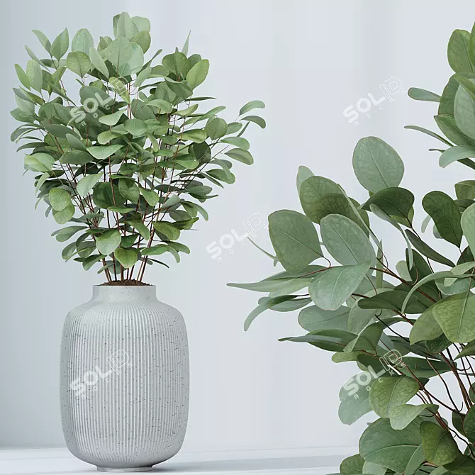 Indoor Plants Set 3D Models 3D model image 3