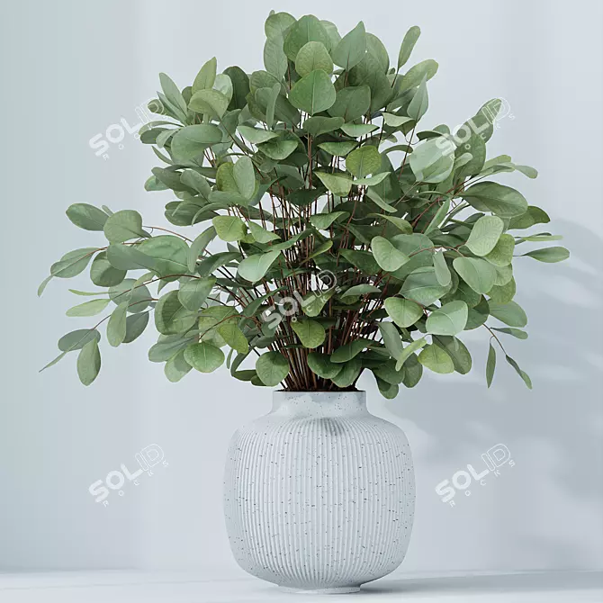 Indoor Plants Set 3D Models 3D model image 5