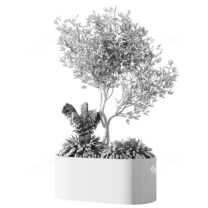 Elegant Indoor Olive Tree Set 3D model image 5