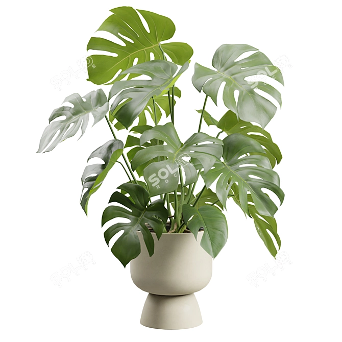 Tropical Monstera Deliciosa Beige Planter 3D model image 1