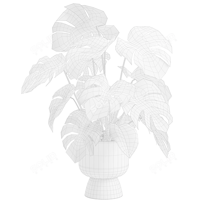 Tropical Monstera Deliciosa Beige Planter 3D model image 3