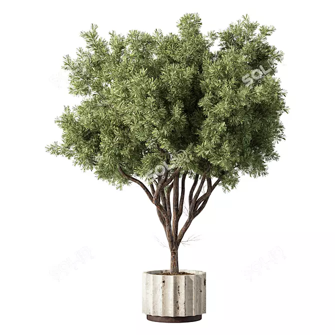Modern Greenery Set for Indoor 3D model image 1