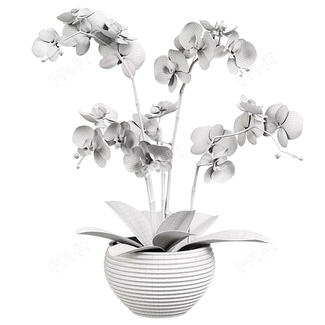 Indoor Orchid Plant in Pot 3D model image 3