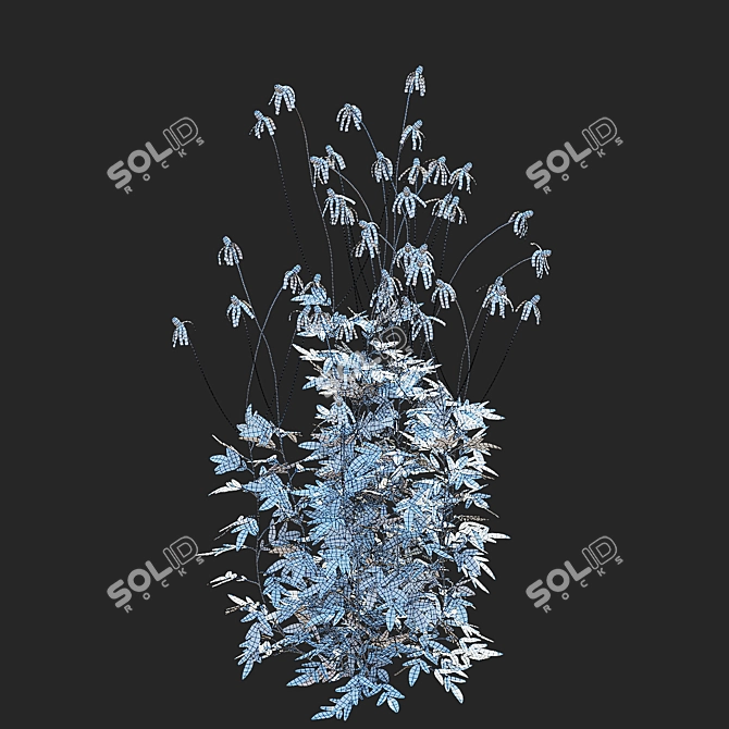 Ratibida Pinnata Flower 3D Models 3D model image 3