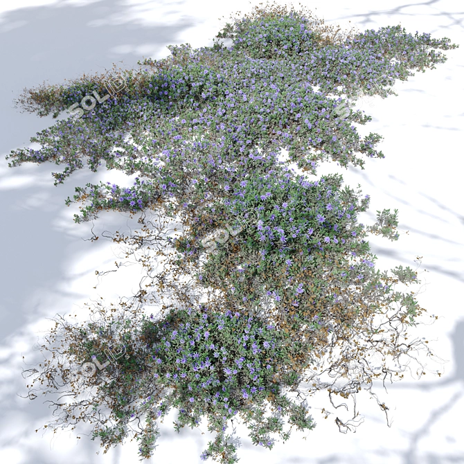 Twin Flowering Creeper Plants 3D model image 2