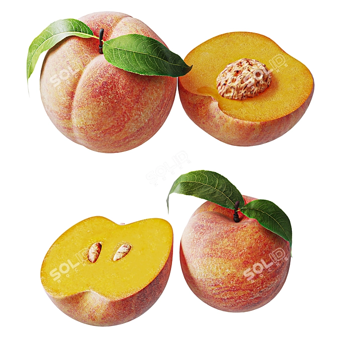 Seamless High-Quality Peach Bowl Model 3D model image 3