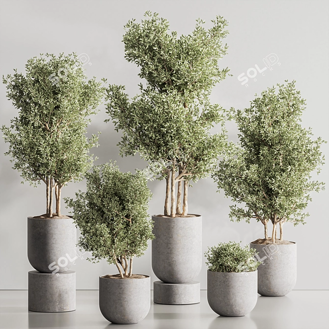 Green Haven Indoor Plant Set 3D model image 1