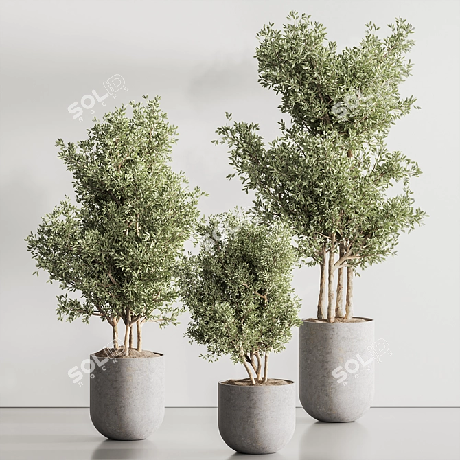 Green Haven Indoor Plant Set 3D model image 2