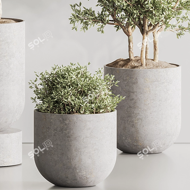 Green Haven Indoor Plant Set 3D model image 3