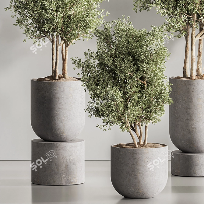 Green Haven Indoor Plant Set 3D model image 4