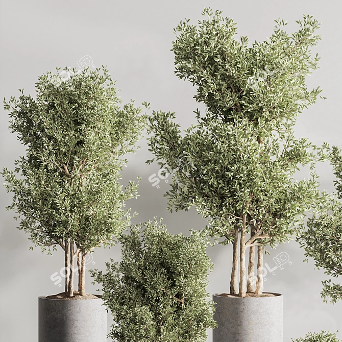 Green Haven Indoor Plant Set 3D model image 5