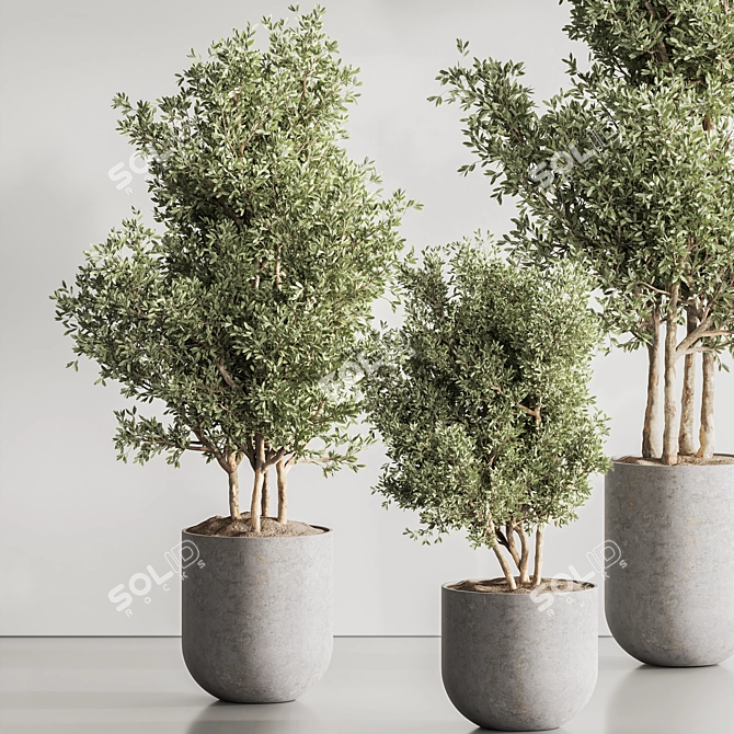 Green Haven Indoor Plant Set 3D model image 6