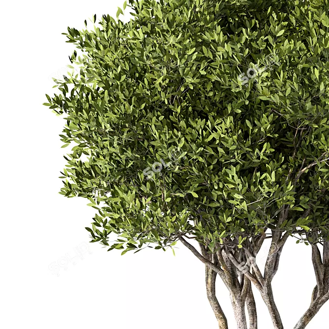 Modern Abstract Tree Sculpture 3D model image 2