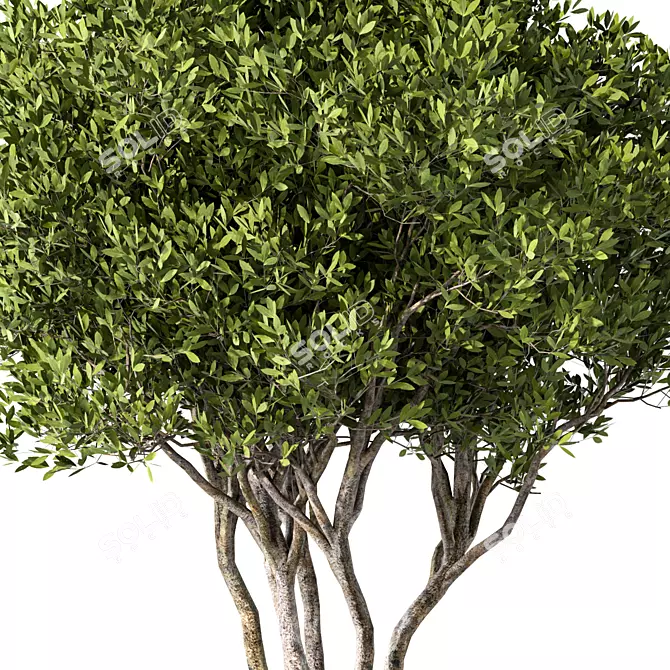 Modern Abstract Tree Sculpture 3D model image 3