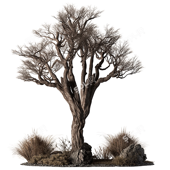 Outdoor Garden Plants 640 3D model image 1