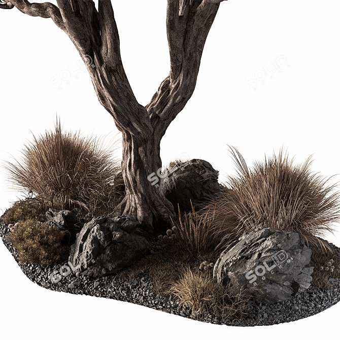 Outdoor Garden Plants 640 3D model image 2