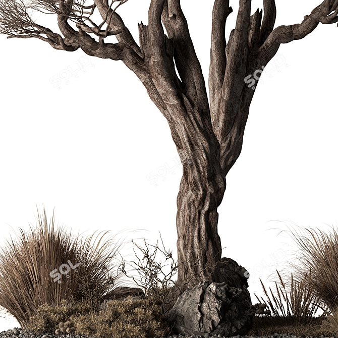 Outdoor Garden Plants 640 3D model image 4