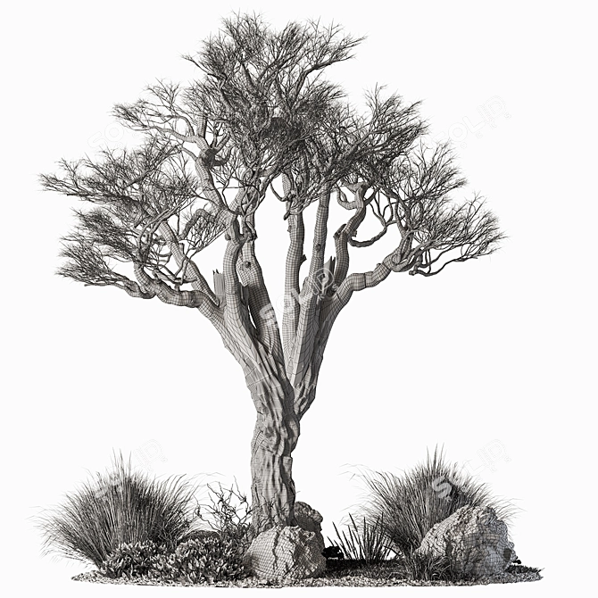 Outdoor Garden Plants 640 3D model image 5