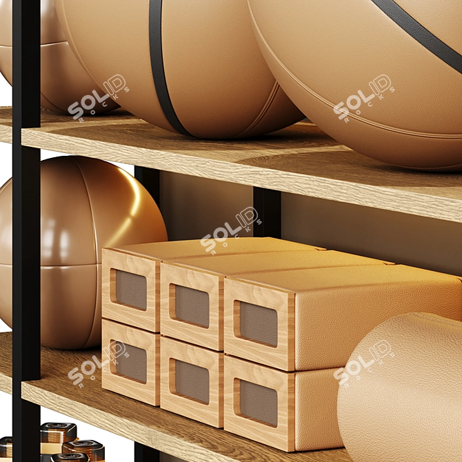 Modern Style Sports Equipment Rack 3D model image 4