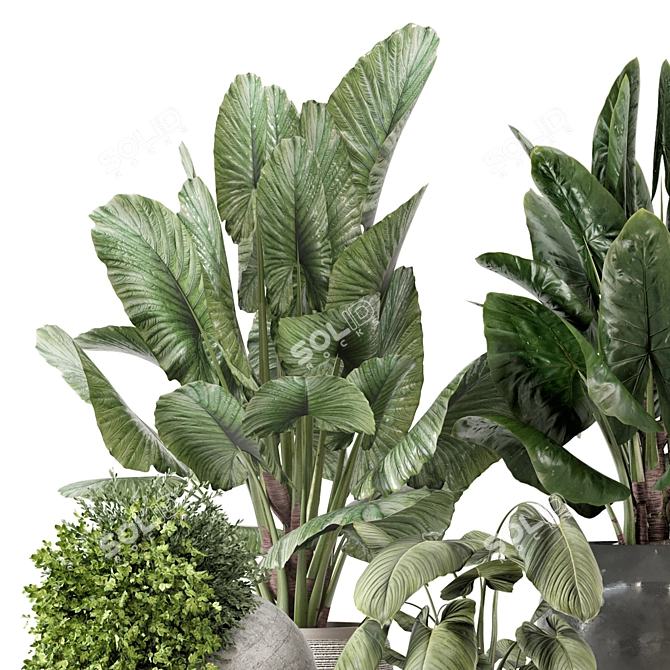 Modern Indoor Plants Set 2373 3D model image 2