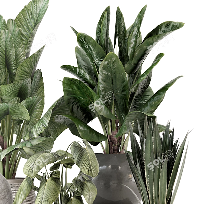 Modern Indoor Plants Set 2373 3D model image 3