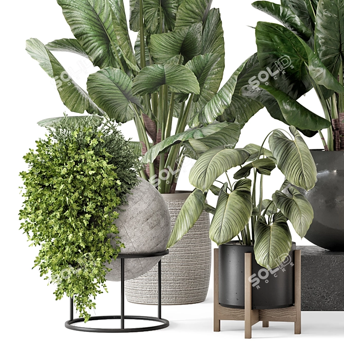 Modern Indoor Plants Set 2373 3D model image 4