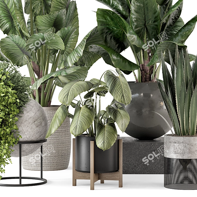 Modern Indoor Plants Set 2373 3D model image 5