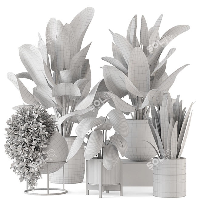 Modern Indoor Plants Set 2373 3D model image 6