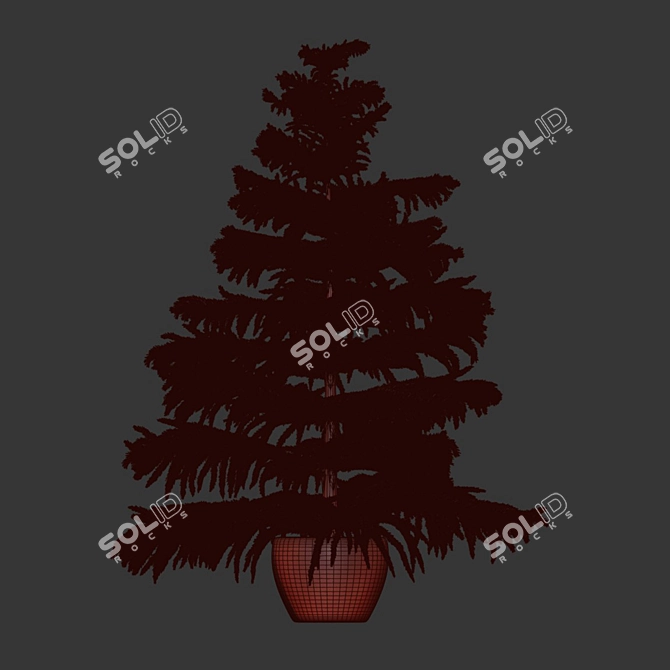 Evergreen Norfolk Pine Vol 33 3D model image 5