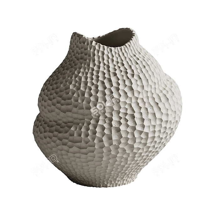 Cooee Design Vase Set 3D model image 2