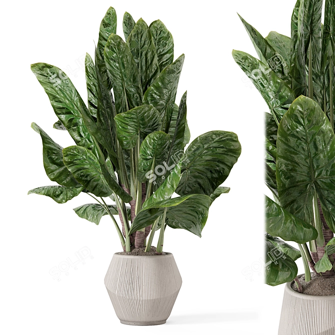 Handmade Stone Pot Indoor Plants 3D model image 3